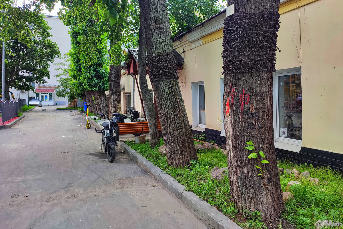 Короткая прогулка по Москве, переулки в районе Чистых прудов переулок, здание, время, летом, Москвы, которое, объект, назначение, первый, бурятский, улице, можно, месте, такие, строение, домика, Рядом, Кодокан, чтобы, публикации