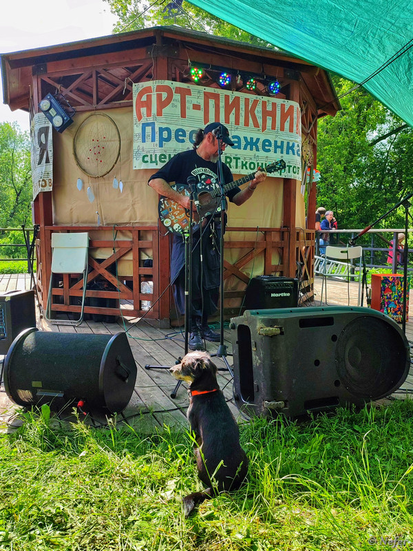 Музыкальный фестиваль Арт-пикник, который ежегодно устраивает Сергей Добрер Музыкальный фестиваль Арт-пикник, который ежегодно устраивает Сергей Добрер Дмитрия, Панасовский, пошел, второй, Сергей, чтобы, только, пропустить, первый, видео, послушал, Прожект, немного, Артпикник, блюза, Холодов, ТАКИЕ, исполнители, воскресенье, Биржа