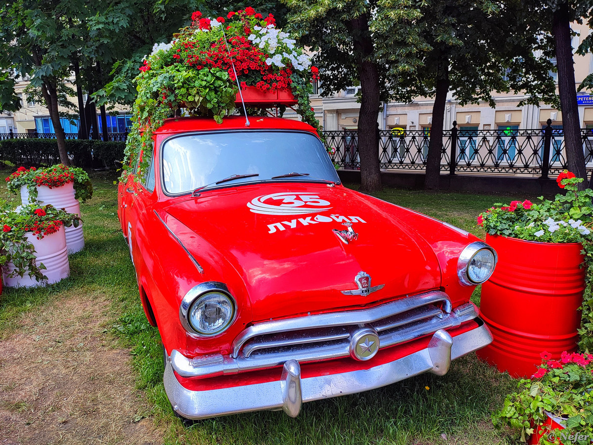 Фестиваль Фестиваль