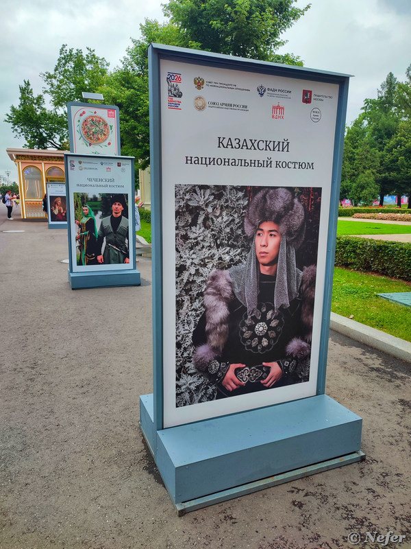 Фестиваль Фестиваль