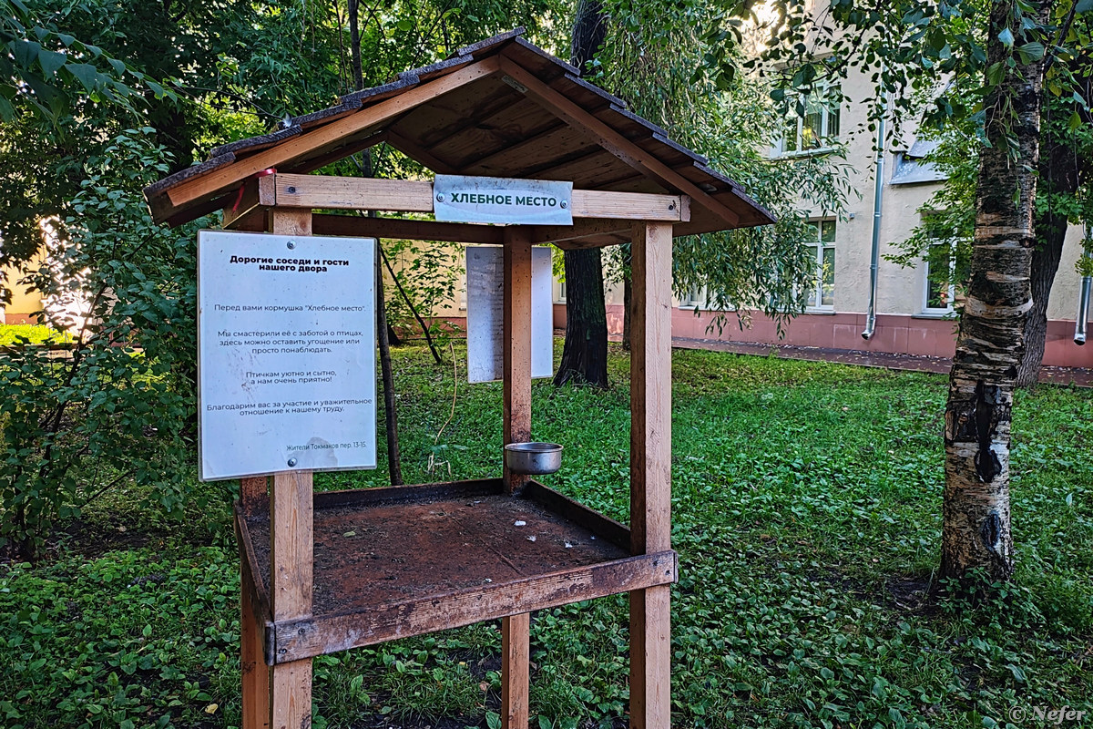 Вместо фестиваля 