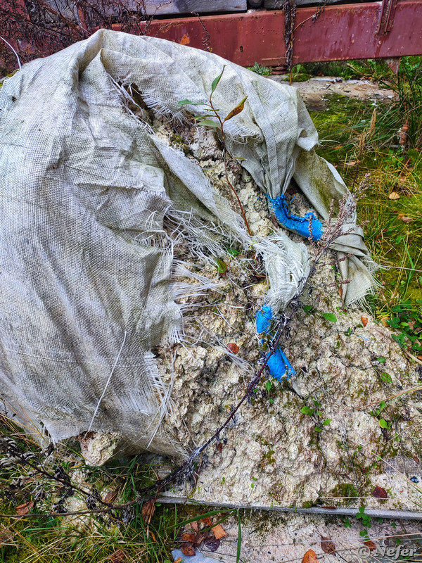 Производство фарфора на примере заброшенного завода Производство фарфора на примере заброшенного завода