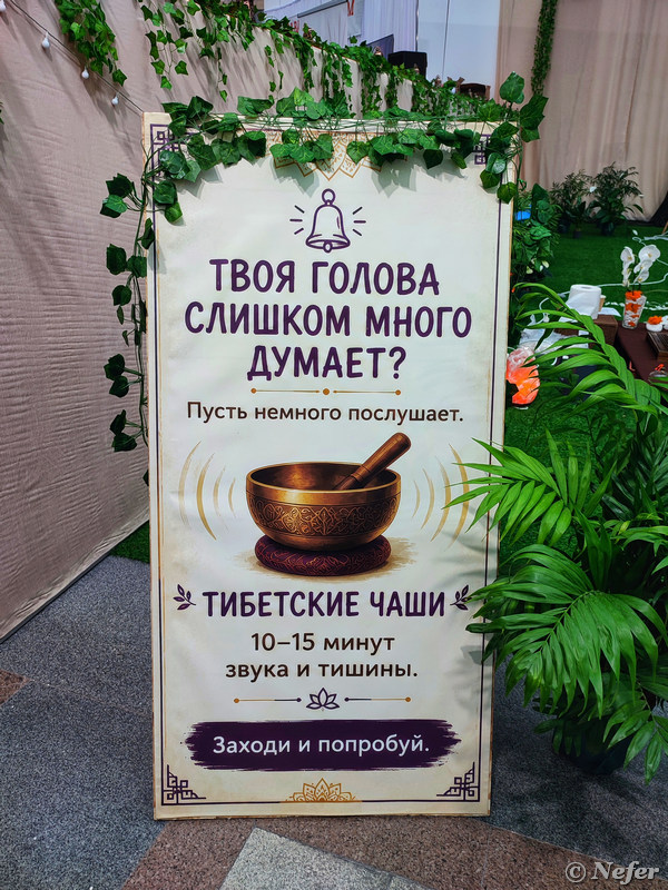 Фестиваль 